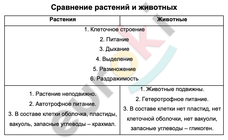 Таблицa по биологии 7 класс Сравнение растений и животных