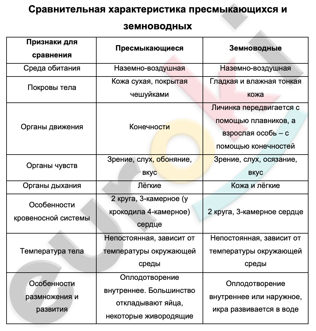 Таблицa по биологии 7 класс Сравнительная характеристика пресмыкающихся и земноводных