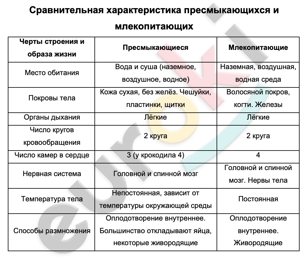 Сравнительная характеристика рептилий и млекопитающих. Птицы рептилии млекопитающие сравнительная таблица. Таблица сравнений характеристик рептилий и млекопитающих. Сравнительная характеристика пресмыкающихся.