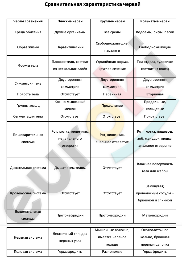 Таблицa по биологии 7 класс Сравнительная характеристика червей