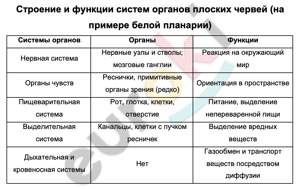 Таблицa по биологии 7 класс Системы органов плоских червей