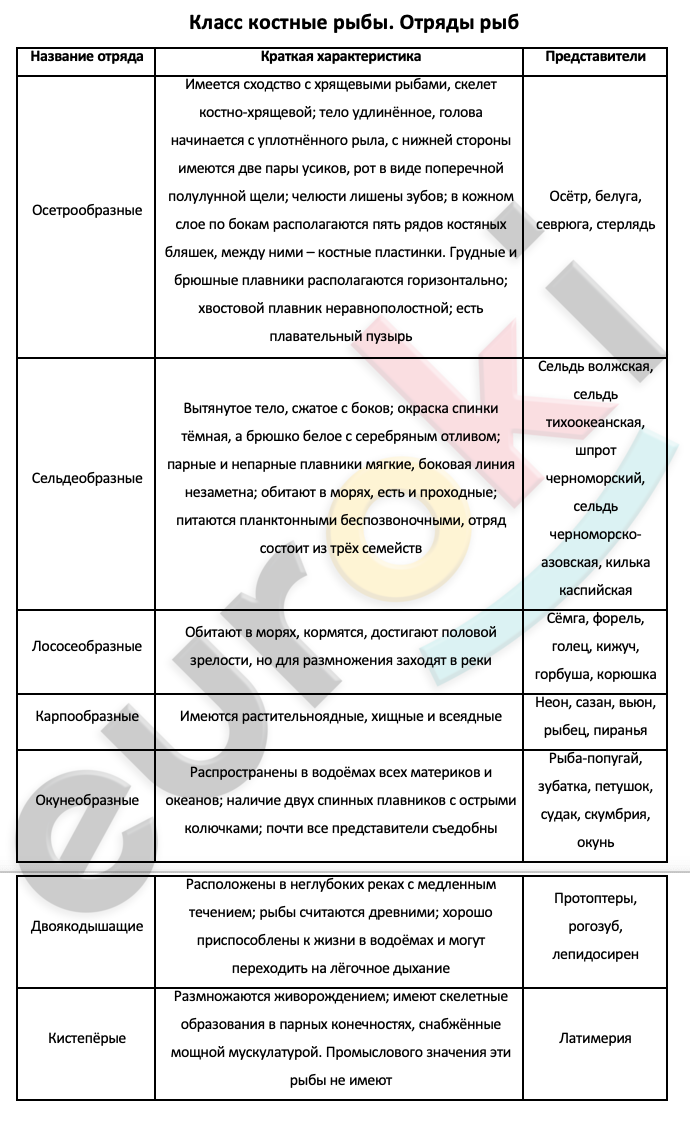 Таблица рыбы 8 класс биология