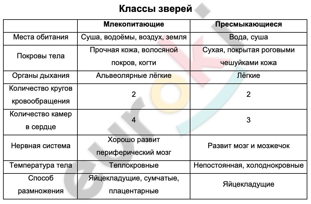 Таблицa по биологии 7 класс Классы зверей