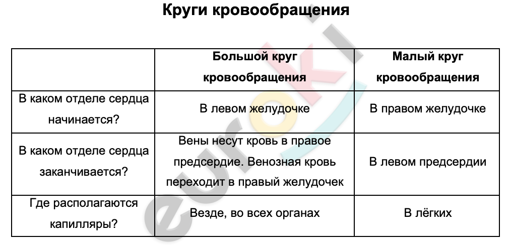 Таблицa по биологии 8 класс Круги кровообращения