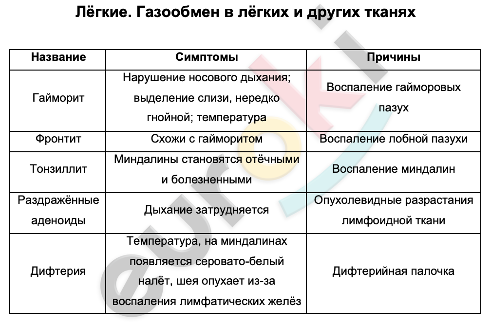 Таблицa по биологии 8 класс Лёгкие. Газообмен в лёгких и других тканях