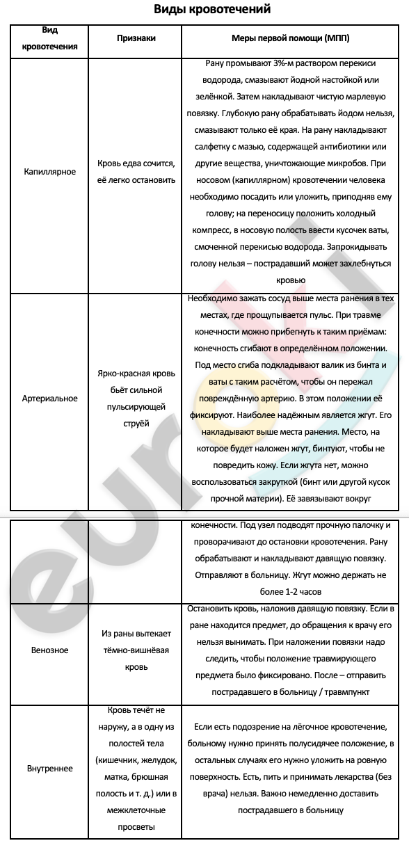 Таблицa по биологии 8 класс Виды кровотечений