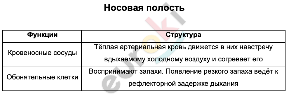 Таблицa по биологии 8 класс Носовая полость