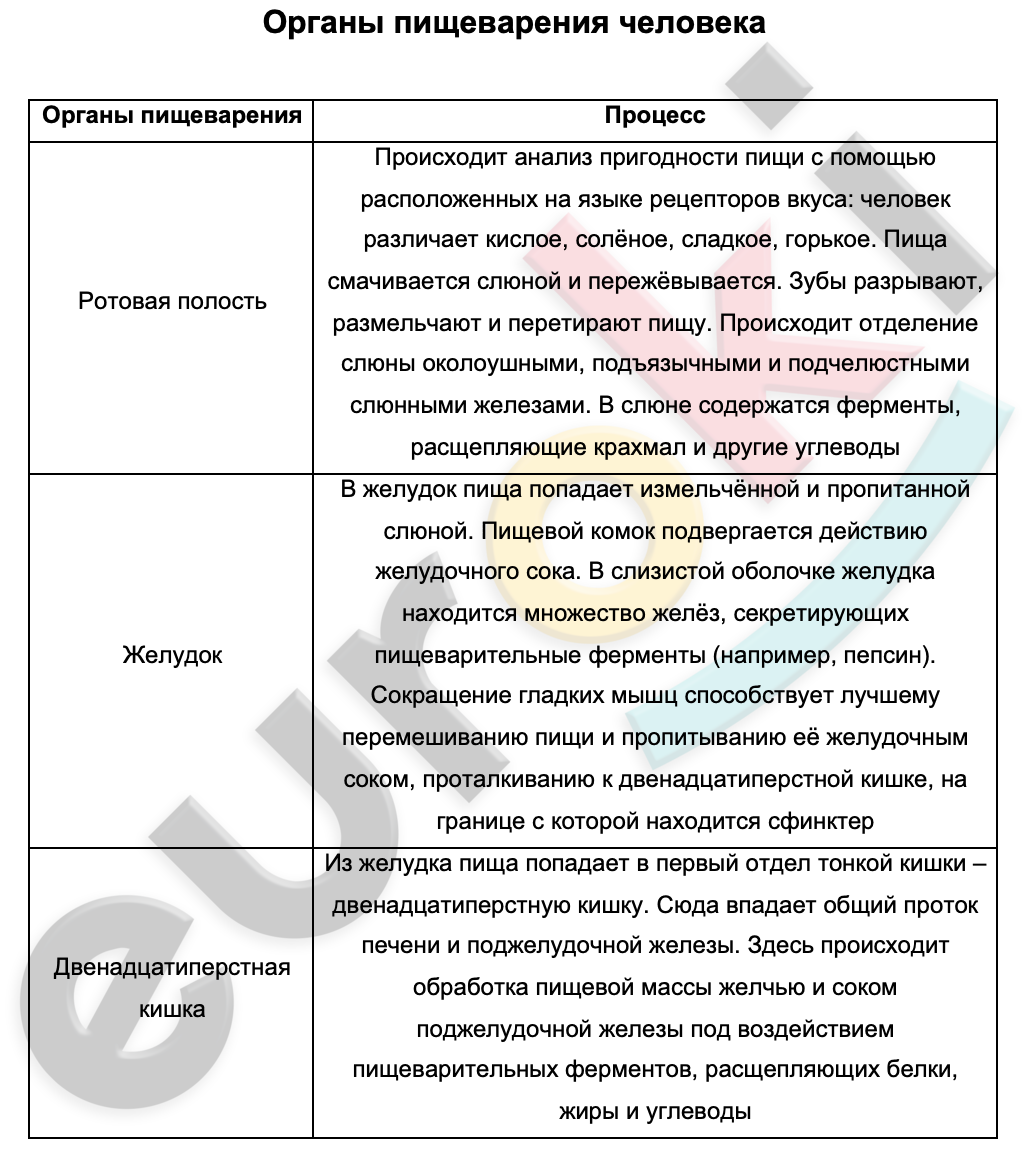 Таблицa по биологии 8 класс Органы пищеварения человека и различных организмов