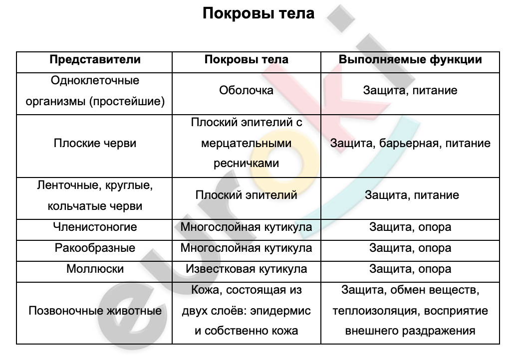 Покровы тела выполняют функции. Таблица по биологии 8 класс покровы тела. Контрольная по главе покровы тела человека 8 класс ответы.