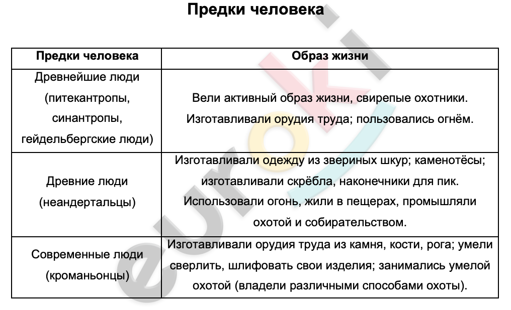 Таблицa по биологии 8 класс Предки человека