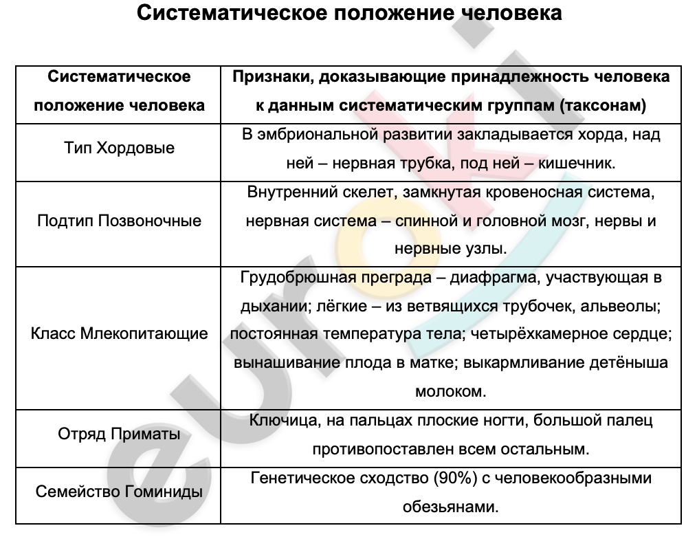 Таблицa по биологии 8 класс Систематическое положение человека