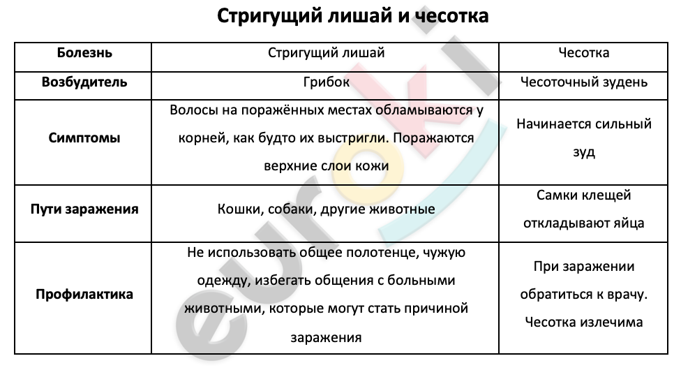 Таблицa по биологии 8 класс Стригущий лишай и чесотка