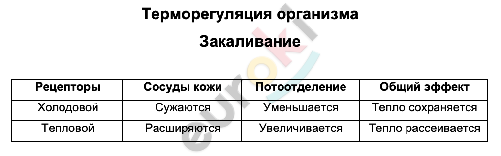 Таблицa по биологии 8 класс Терморегуляция организма. Закаливание