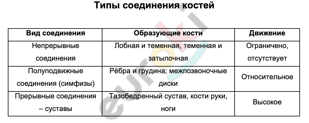 Таблицa по биологии 8 класс Типы соединения костей