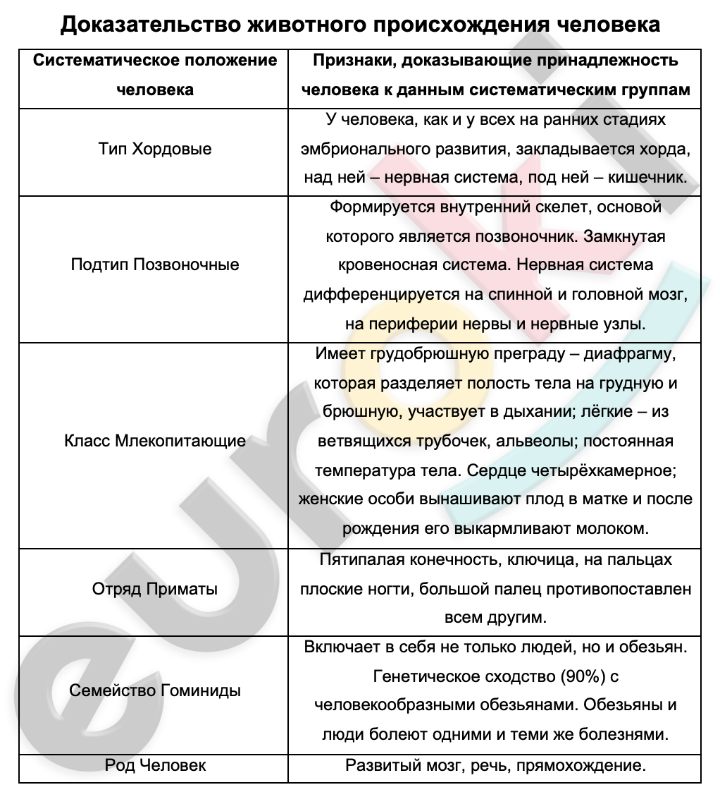 Таблицa по биологии 8 класс Доказательство животного происхождения человека