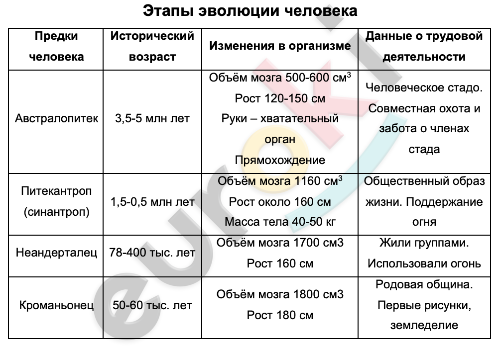 Таблицa по биологии 8 класс Этапы эволюции человека