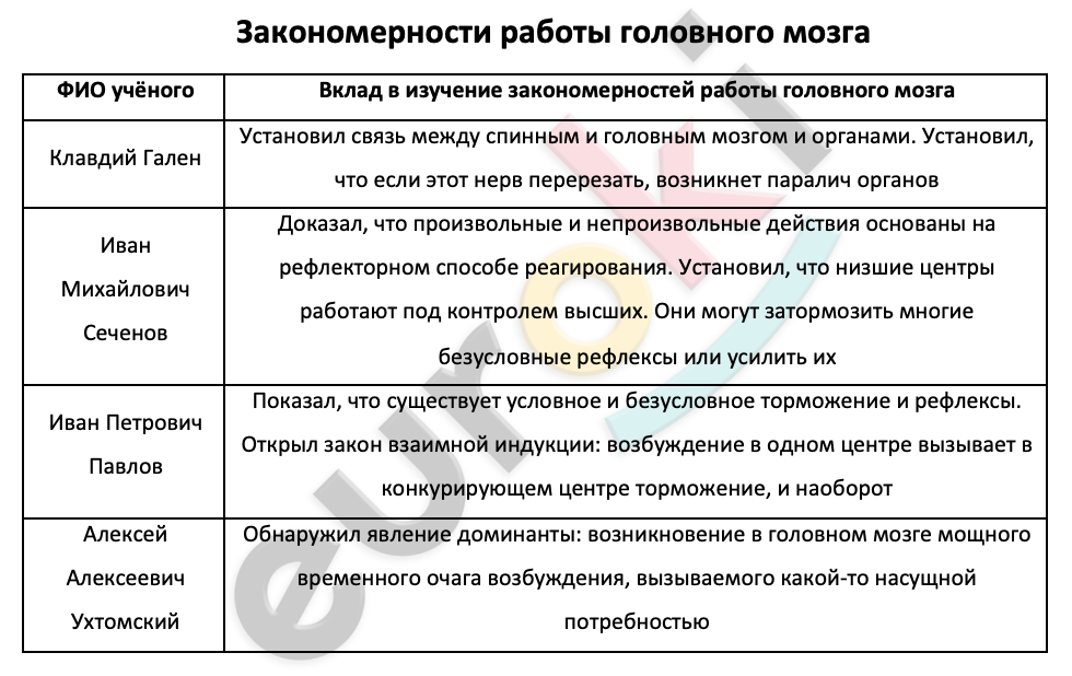 Таблицa по биологии 8 класс Закономерности работы головного мозга