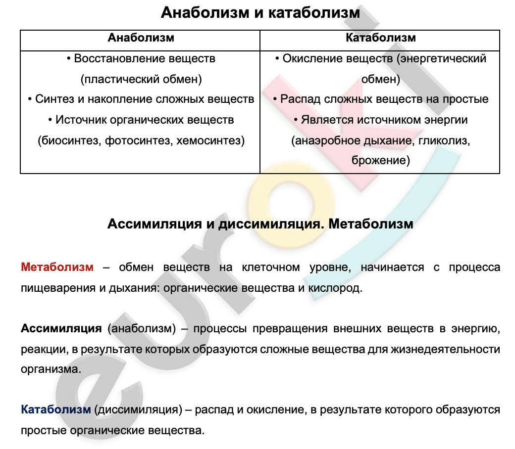 Text, table Description automatically generated