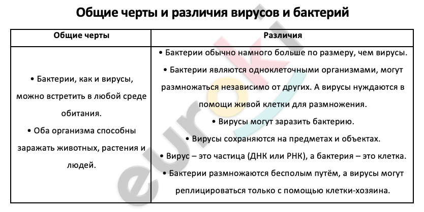 Таблицa по биологии 9 класс Общие черты и различия вирусов и бактерий