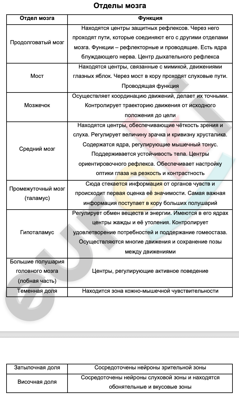 Центры головного мозга таблица