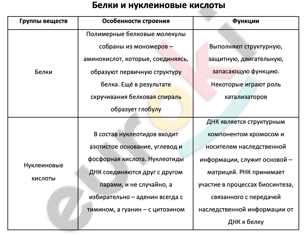 Таблицa по биологии 9 класс Белки и нуклеиновые кислоты