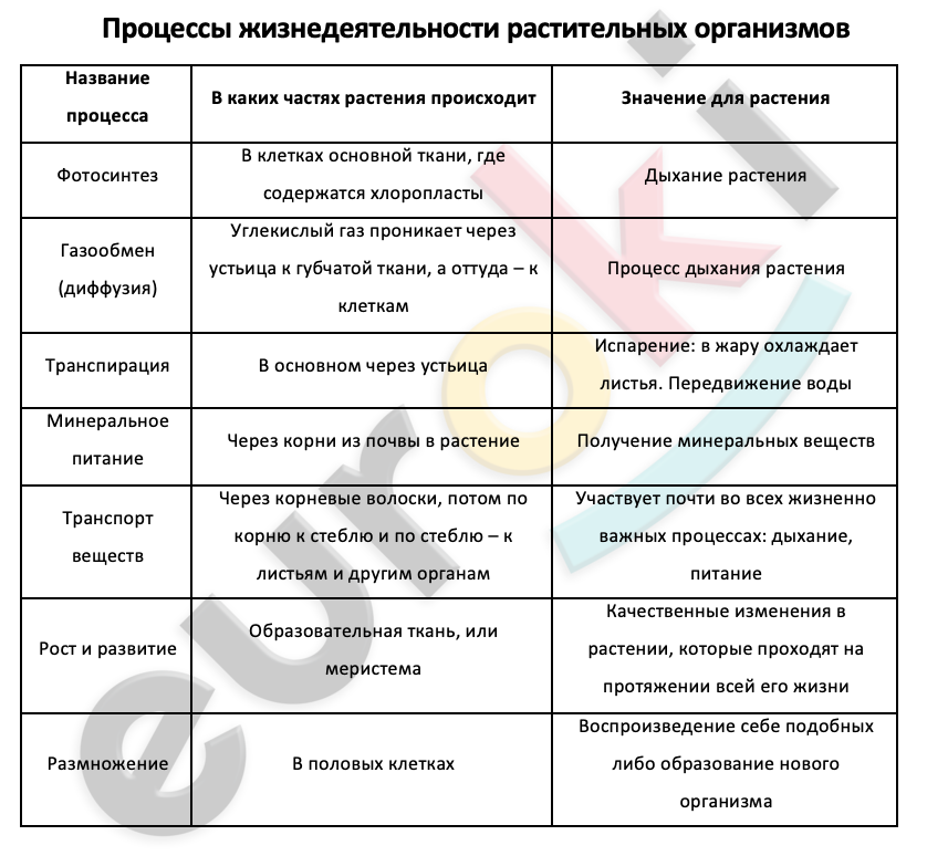 Таблицa по биологии 9 класс Процессы жизнедеятельности растительных организмов