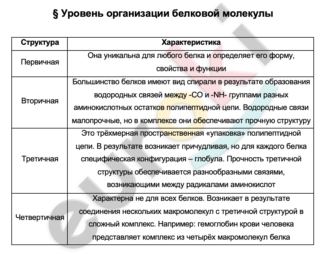 Таблицa по биологии 9 класс Уровень организации белковой молекулы