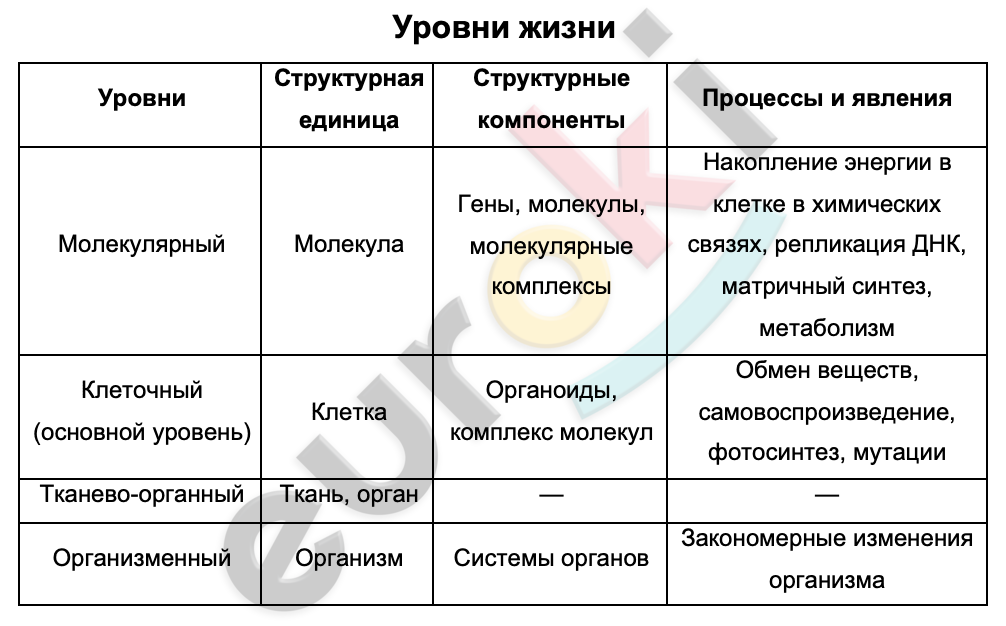 Таблицa по биологии 9 класс Уровни жизни