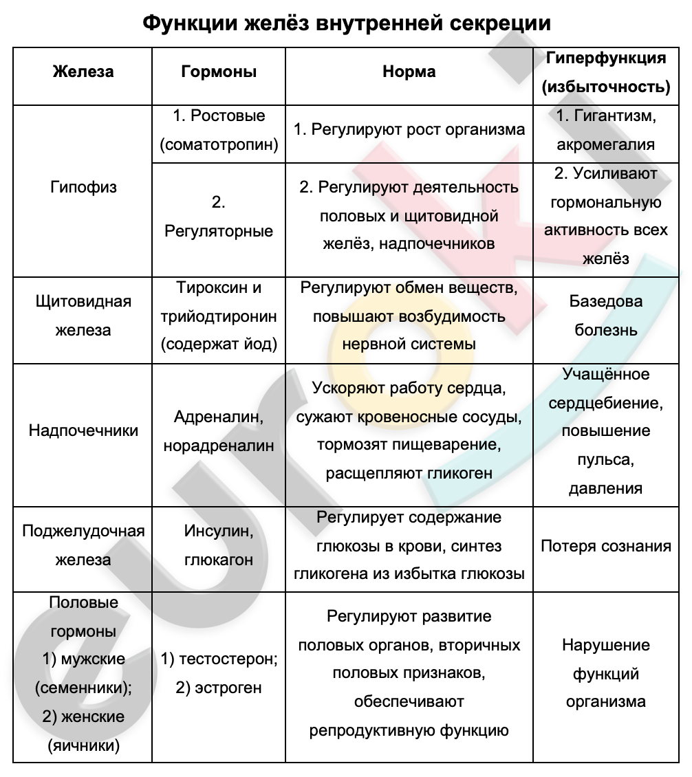 Железы и их функции 8 класс биология