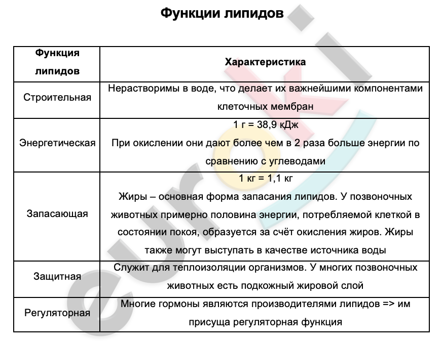 Таблицa по биологии 9 класс Функции липидов