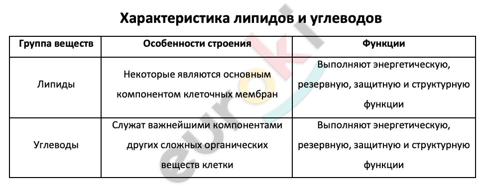 Таблицa по биологии 9 класс Характеристика липидов и углеводов