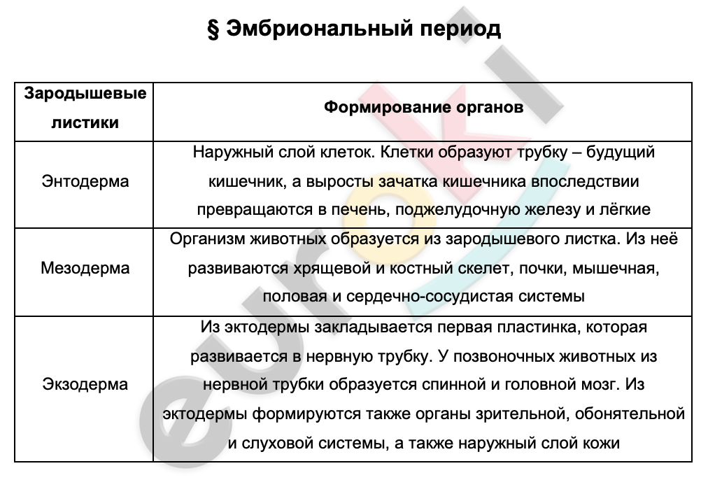 Таблицa по биологии 9 класс Эмбриональный период