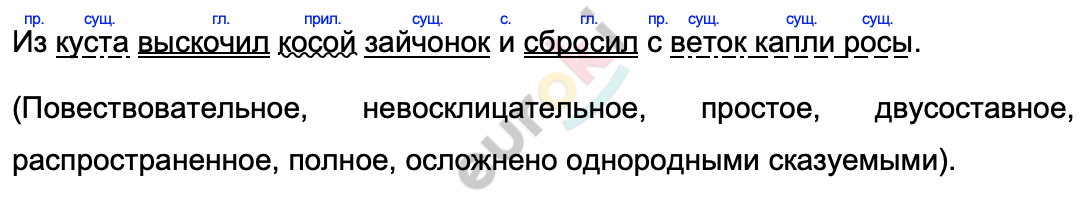 Небо перед утренней зарей прояснилось диктант