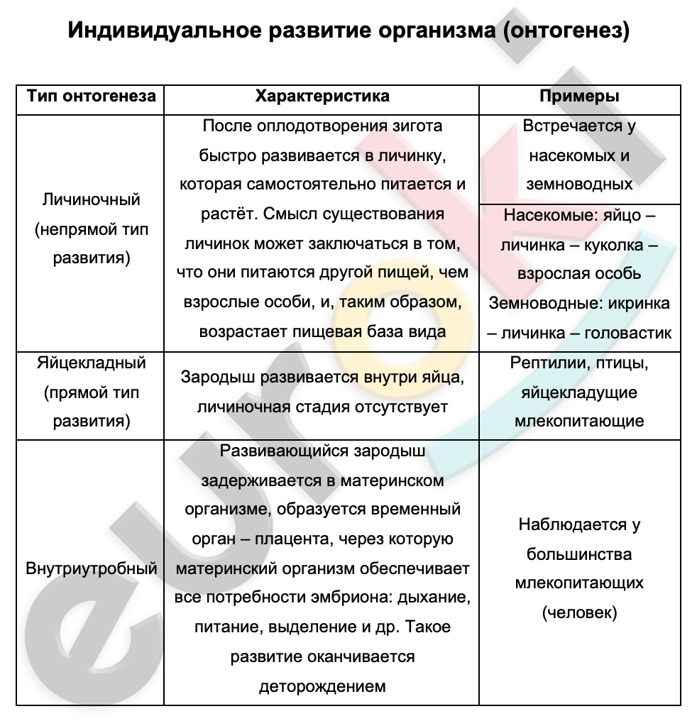 Таблицa по биологии 9 класс Индивидуальное развитие организма (онтогенез)