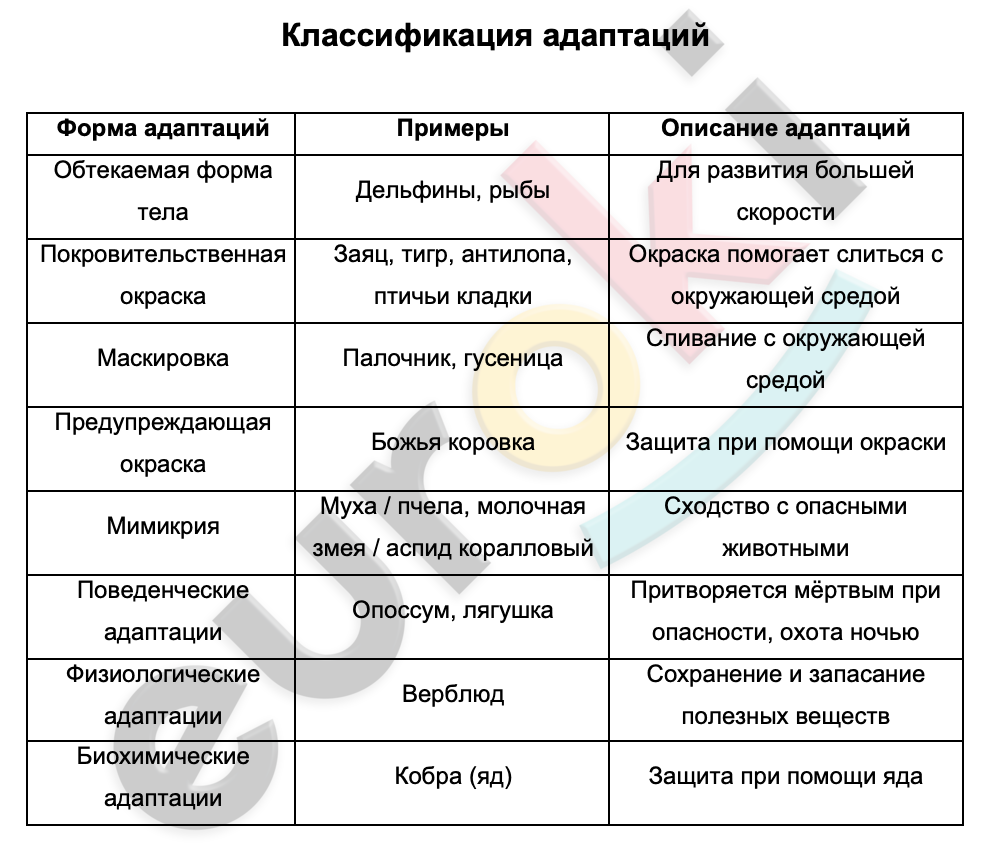 Таблицa по биологии 9 класс Классификация адаптаций