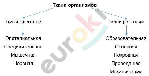 Diagram Description automatically generated