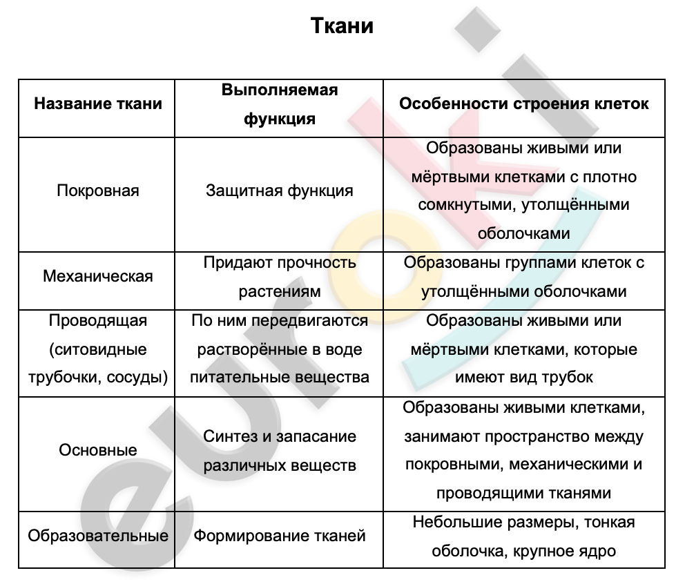 Таблицa  | Биология/Окр. мир 5 класс