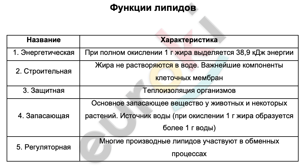 Таблицa по биологии 9 класс Функции липидов