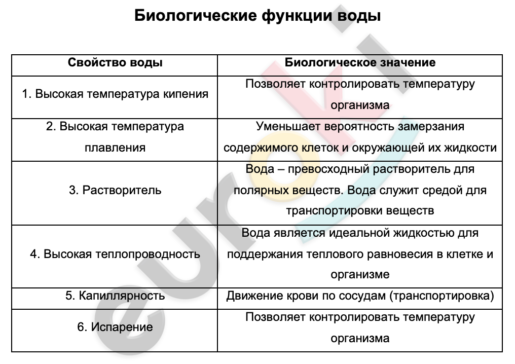 Таблицa по биологии 10 класс Биологические функции воды