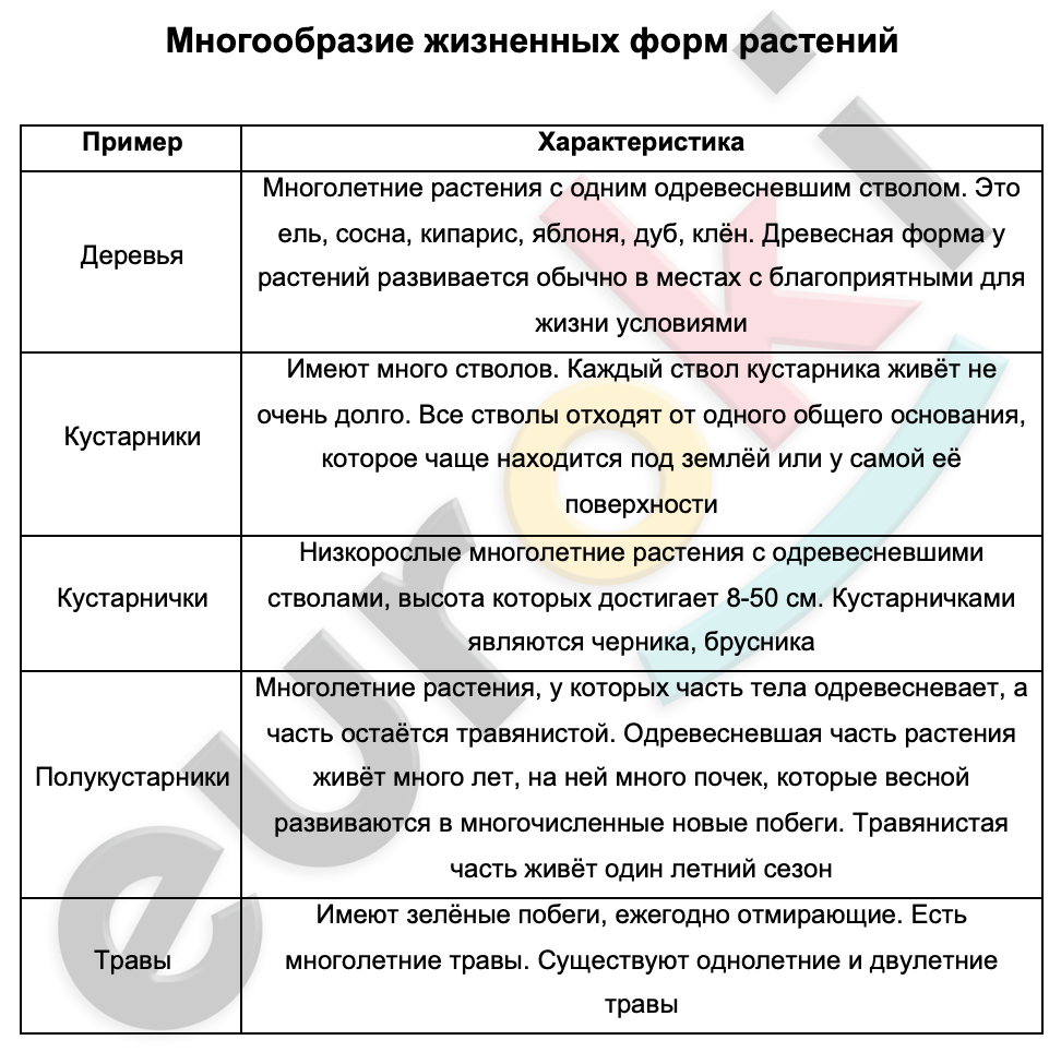 Таблицa по биологии 6 класс Многообразие жизненных форм растений