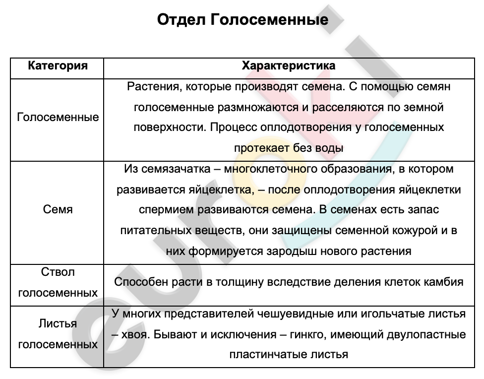 Таблицa по биологии 6 класс Отдел Голосеменные