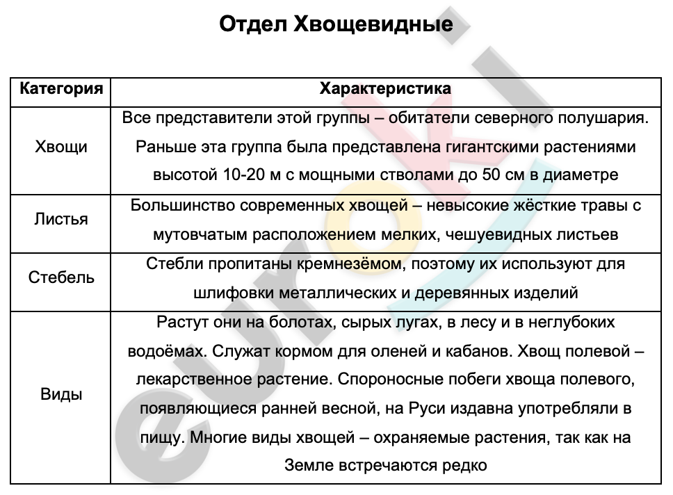 Таблицa по биологии 6 класс Отдел Хвощевидные