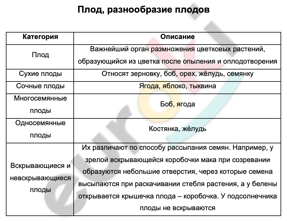 Таблицa по биологии 6 класс Плоды