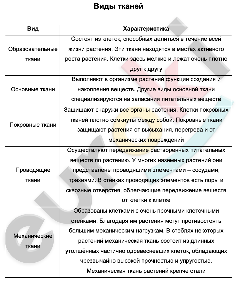 Таблицa по биологии 6 класс Виды тканей