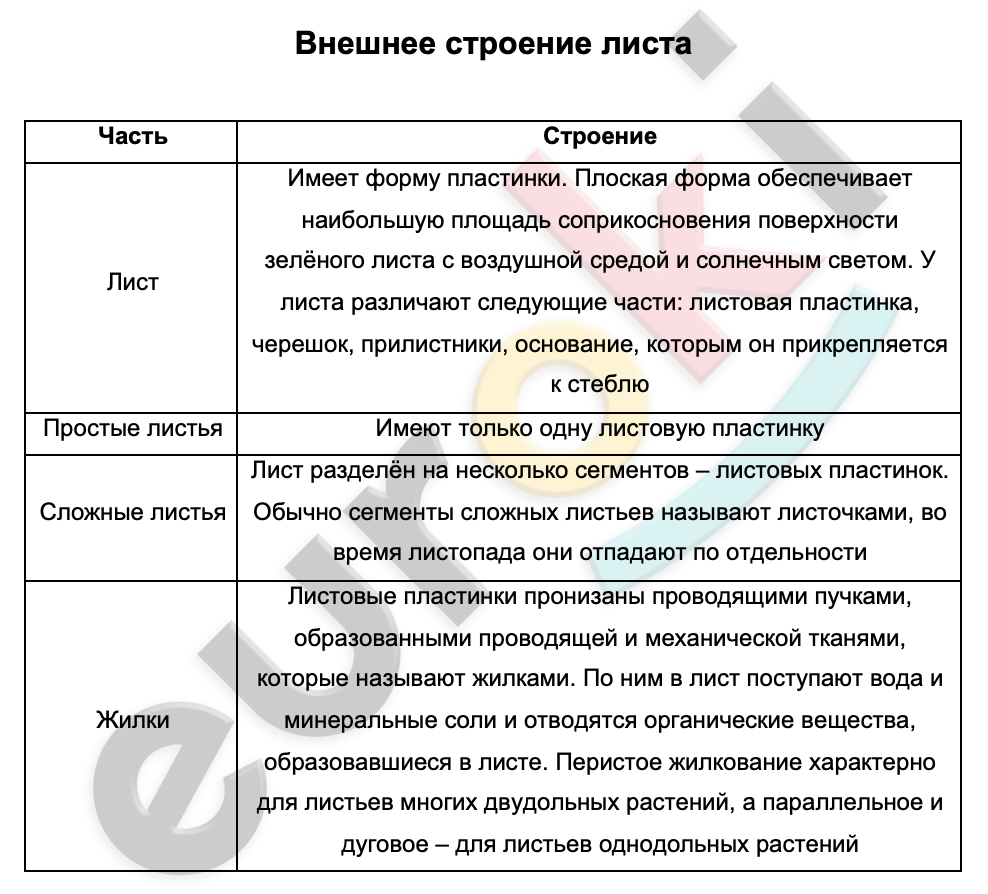 Таблицa по биологии 6 класс Внешнее строение листа