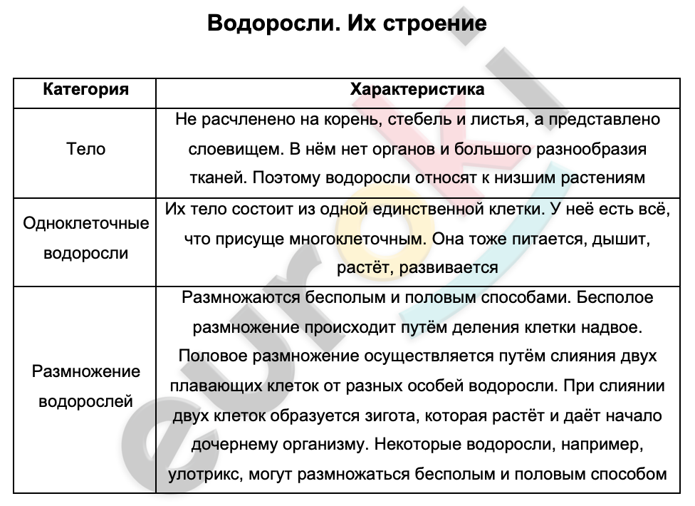 Таблицa по биологии 6 класс Водоросли. Их строение