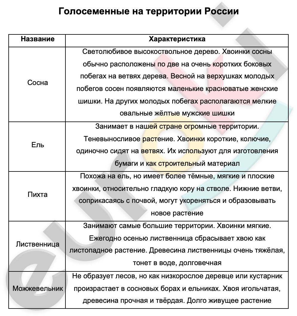 Таблицa по биологии 6 класс Голосеменные на территории России