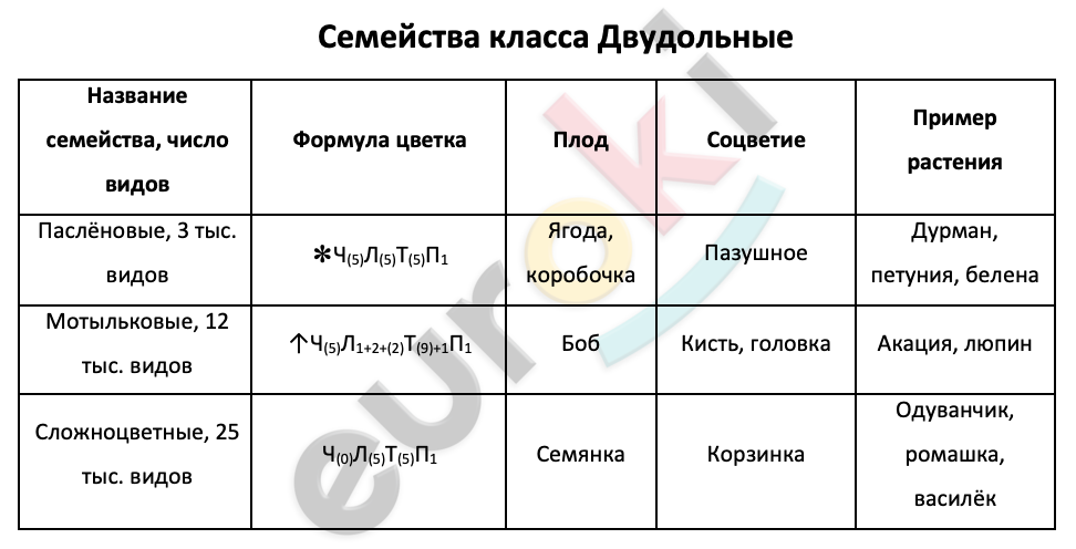 Таблицa по биологии 6 класс Семейства класса Двудольные