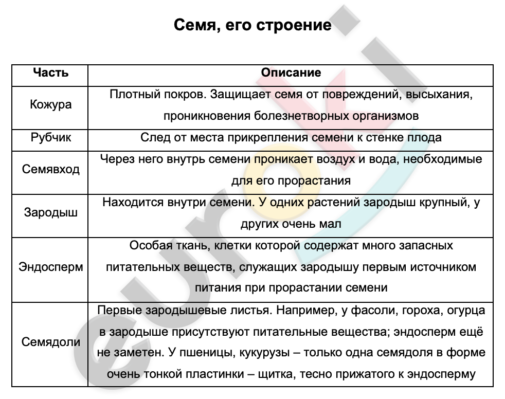 Таблицa по биологии 6 класс Семейства класса Двудольные