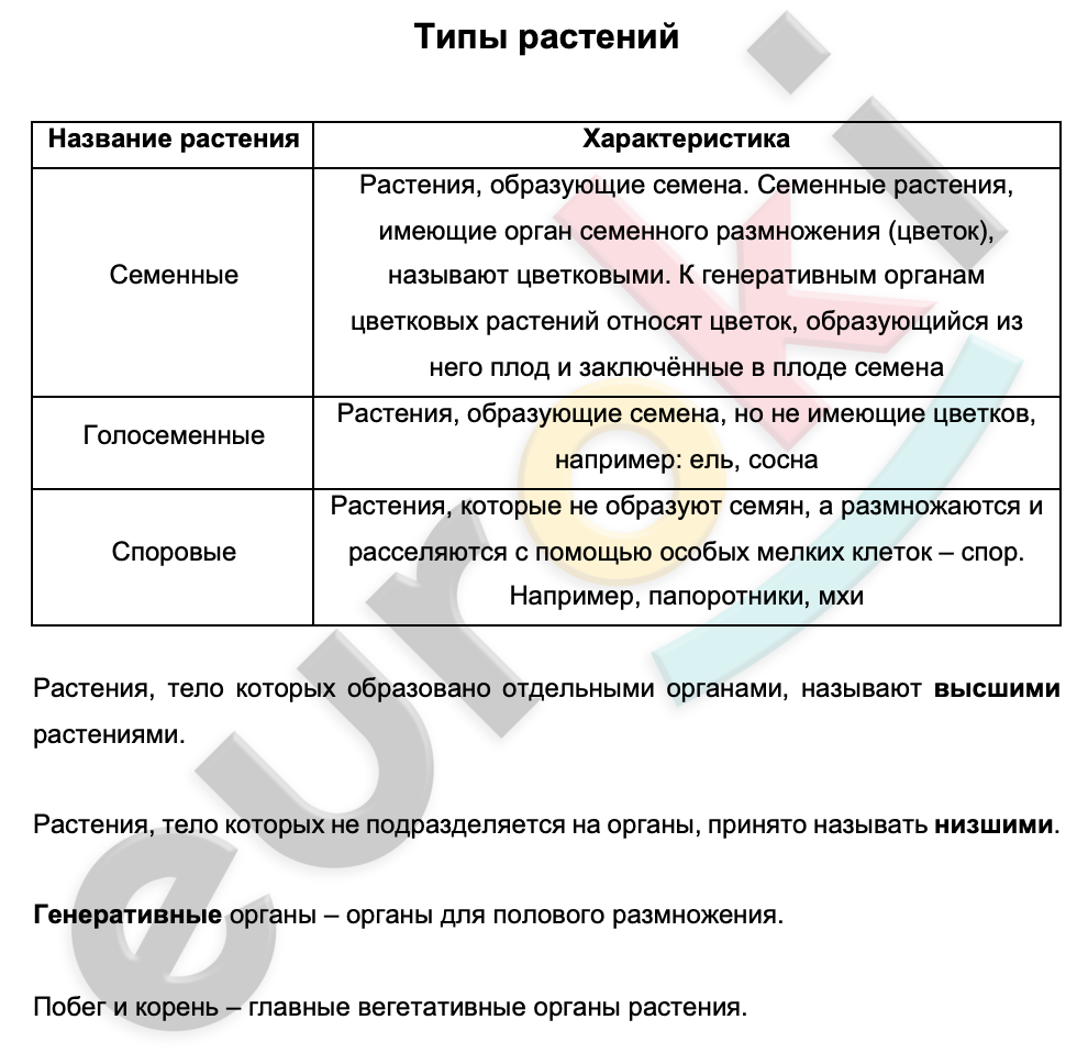 Таблицa по биологии 6 класс Типы растений